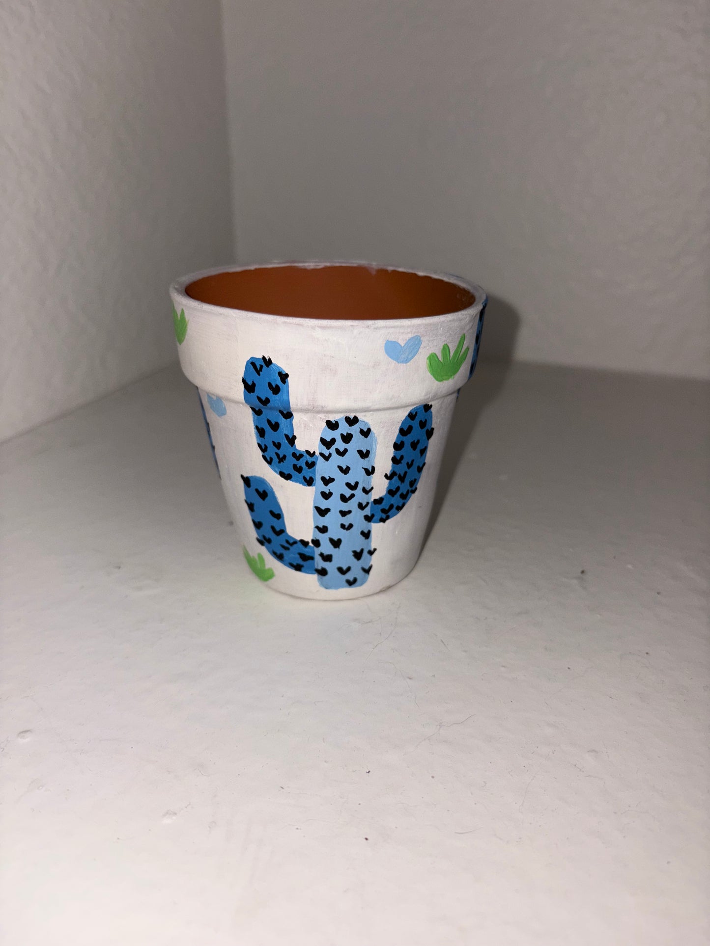 Cactus Painted Terra Cotta Pot
