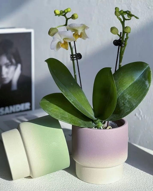 Handmade Macaron Flower Pots, Dopamine Indoor / Outdoor Garden Planter