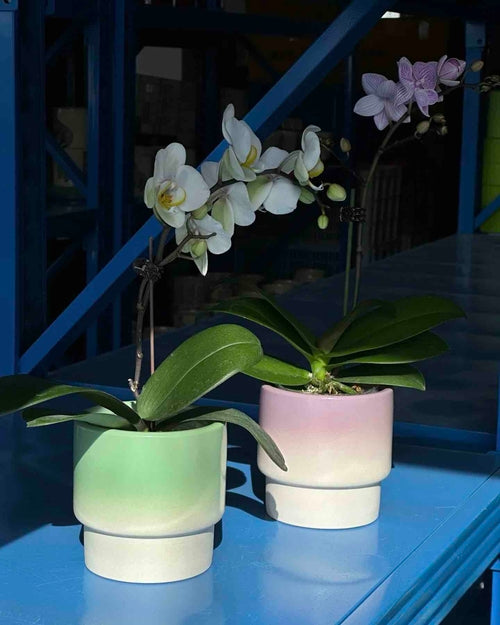 Handmade Macaron Flower Pots, Dopamine Indoor / Outdoor Garden Planter