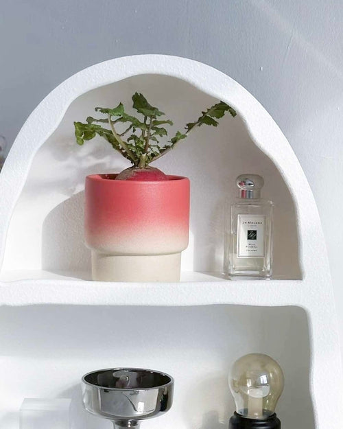 Handmade Macaron Flower Pots, Dopamine Indoor / Outdoor Garden Planter