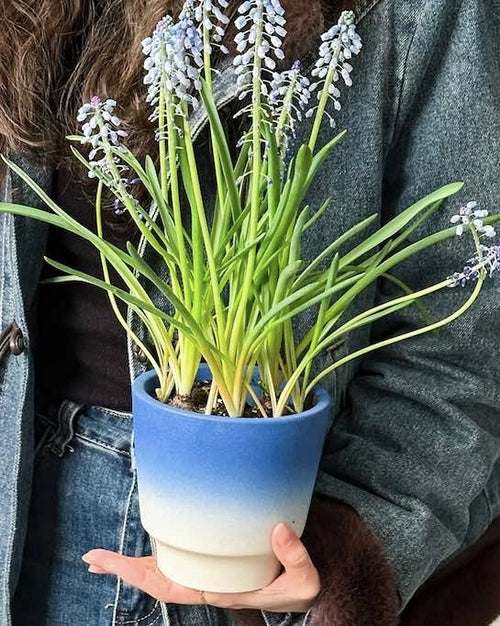 Handmade Macaron Flower Pots, Dopamine Indoor / Outdoor Garden Planter